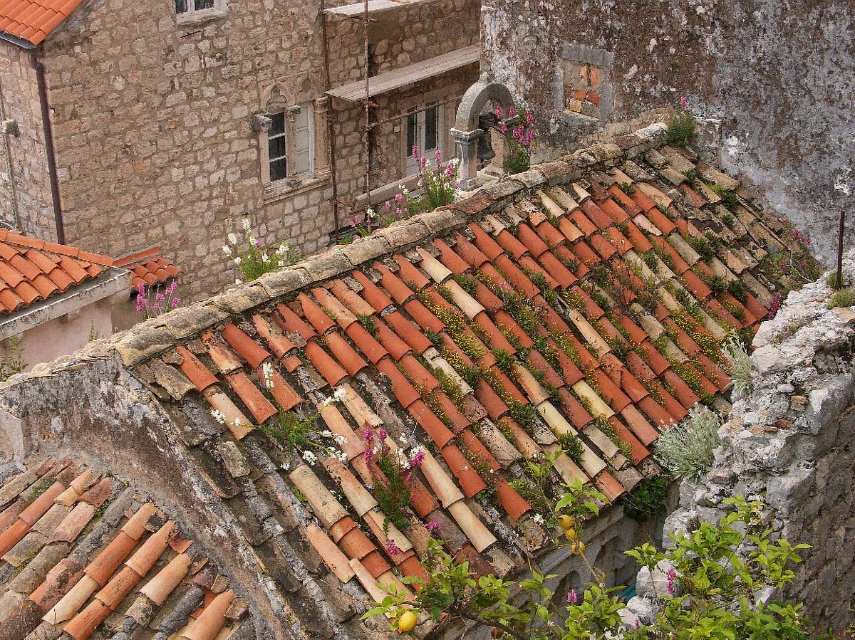 DUBROVNIK1268 14 05 06