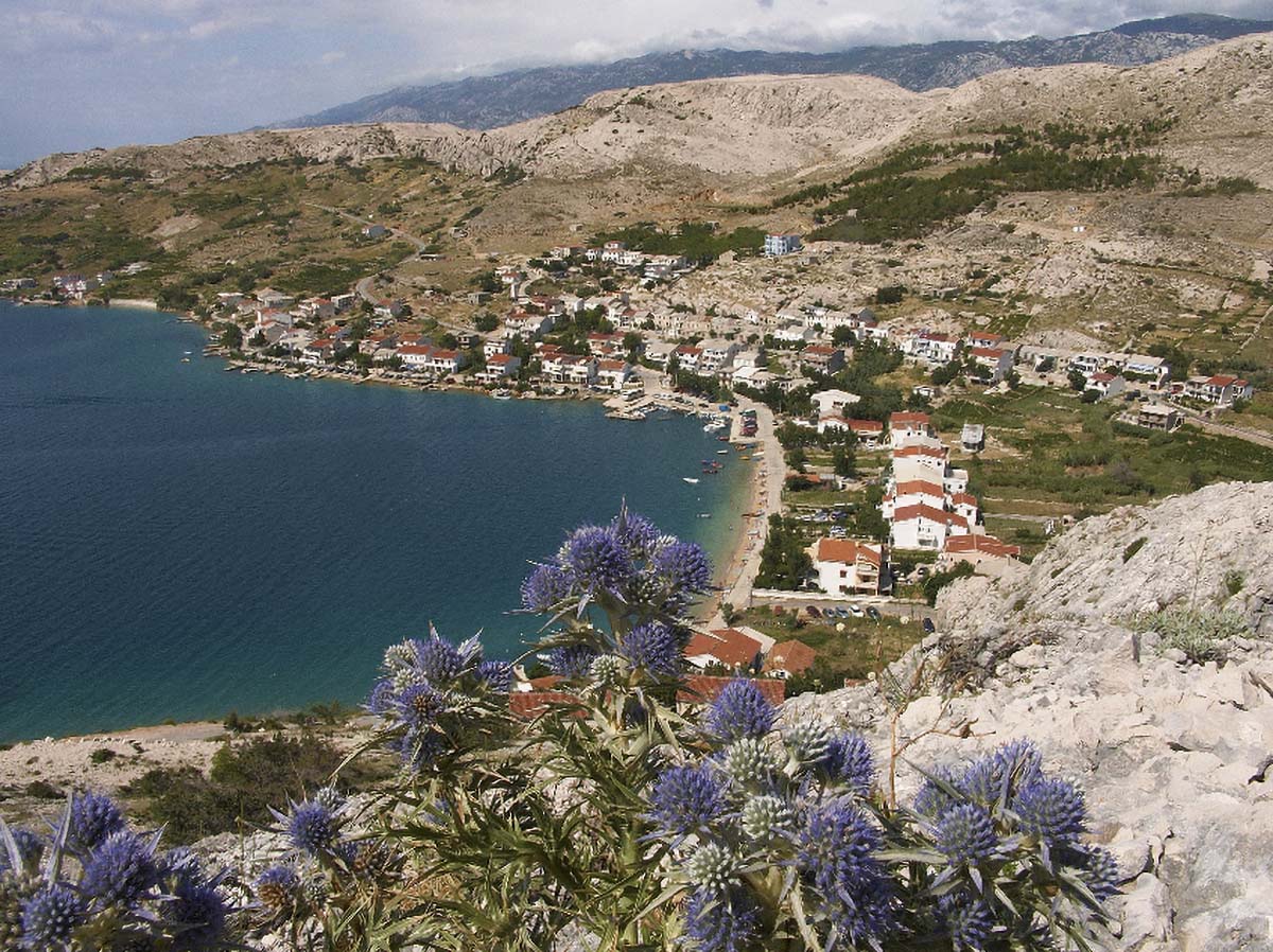 METAJNA15 12. 08 2005