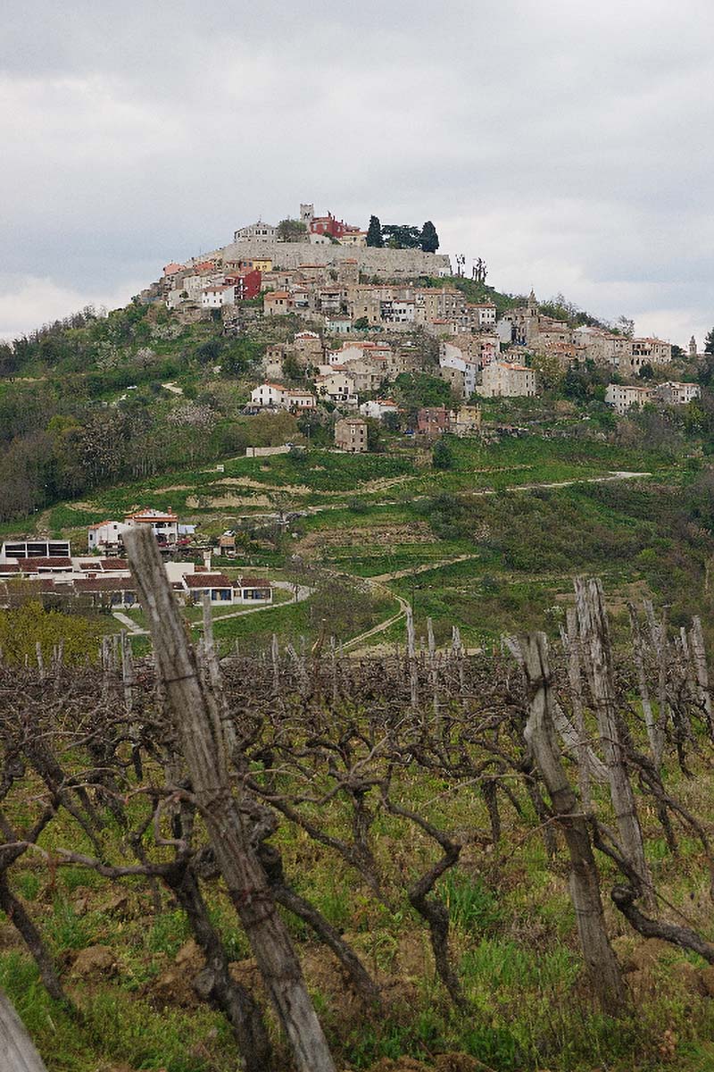 MOTOVUN04 05 04 08
