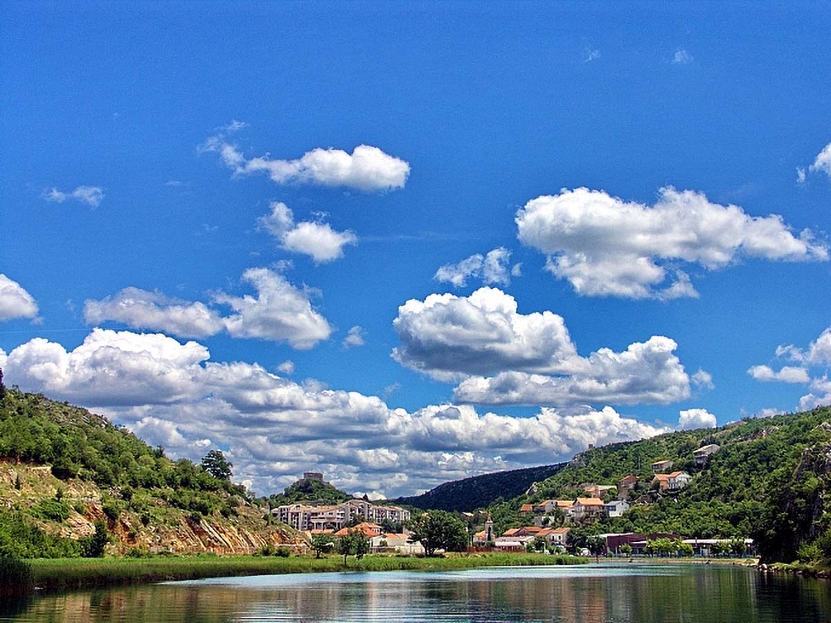 OBROVAC15 15 06 08