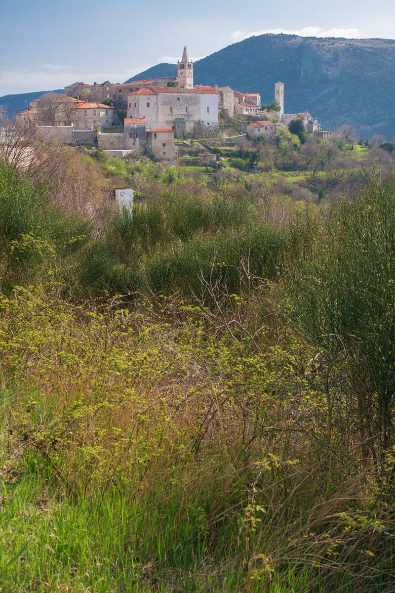 PLOMIN10 21 03 17