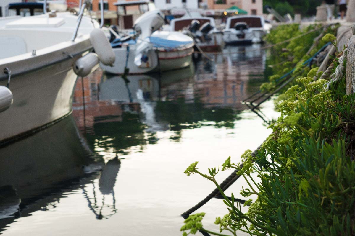 VELI LOSINJ077 22 08 14