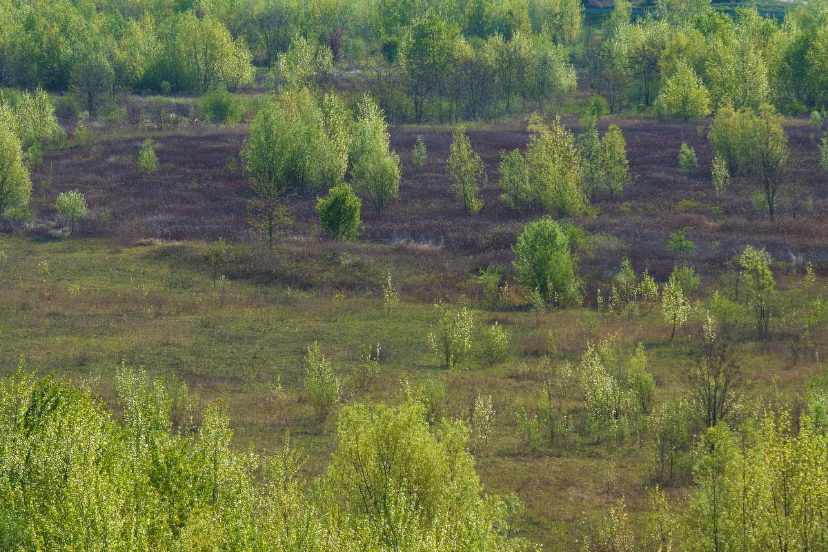 DSC08720