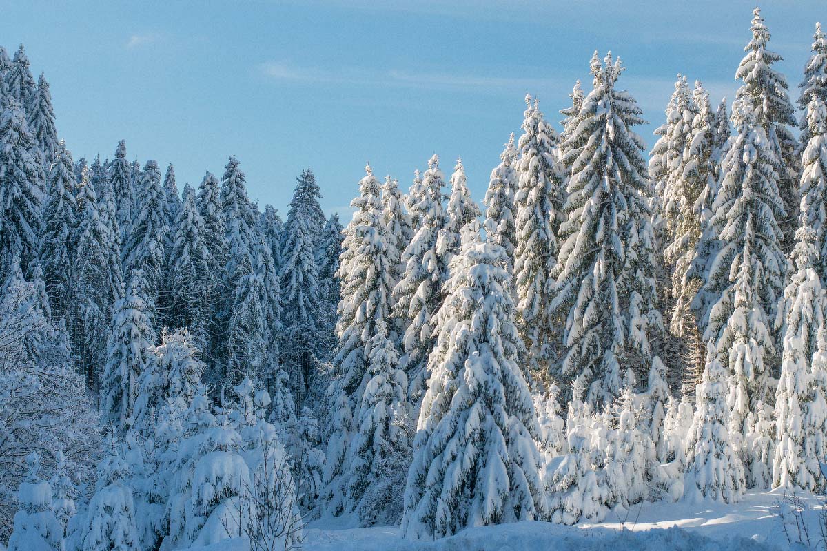 GORSKI KOTAR16 04 02 18