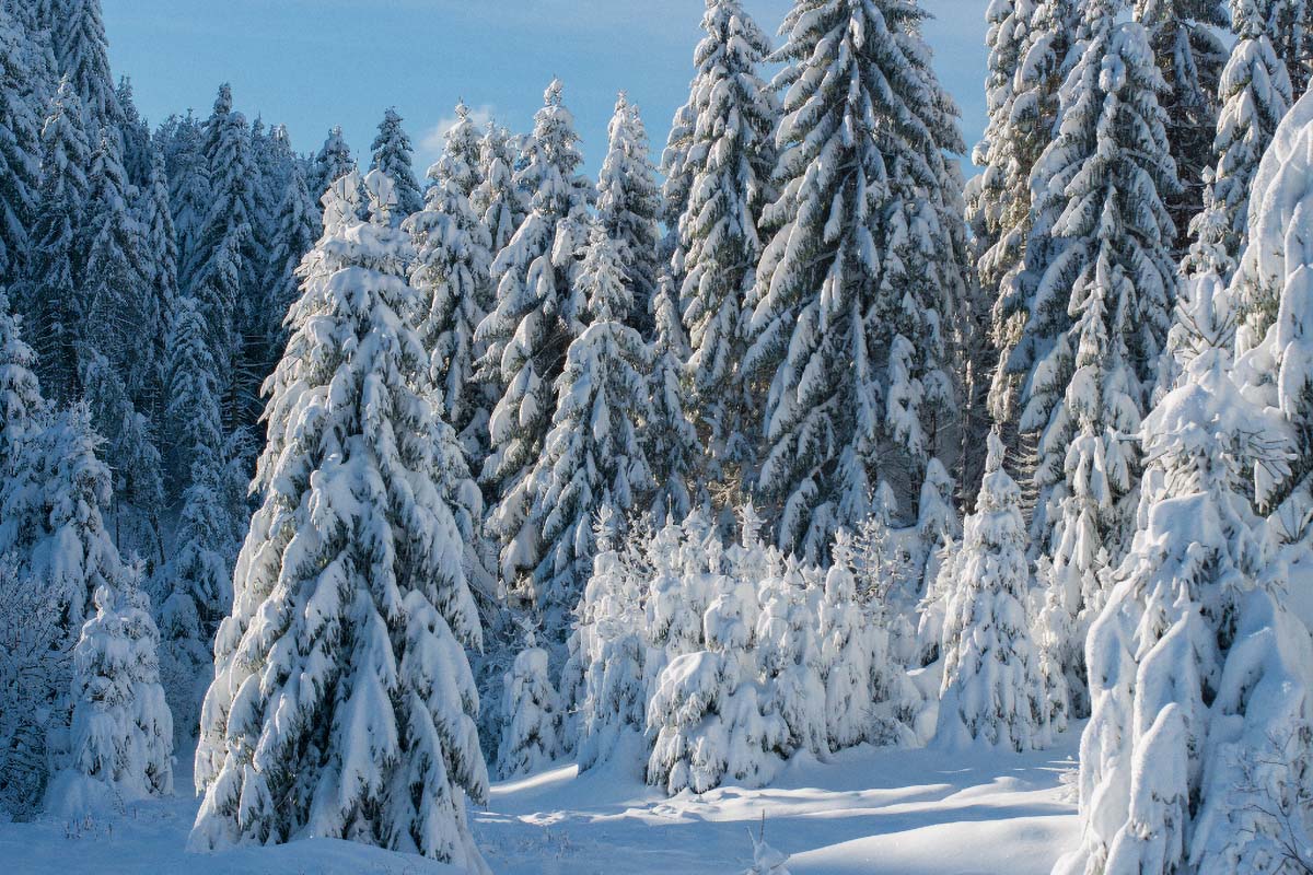 GORSKI KOTAR35 04 02 18