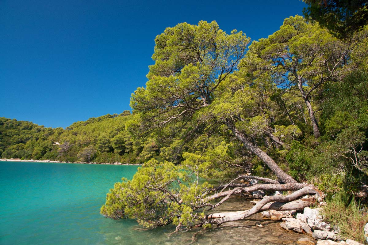 MLJET1189 14 08 13