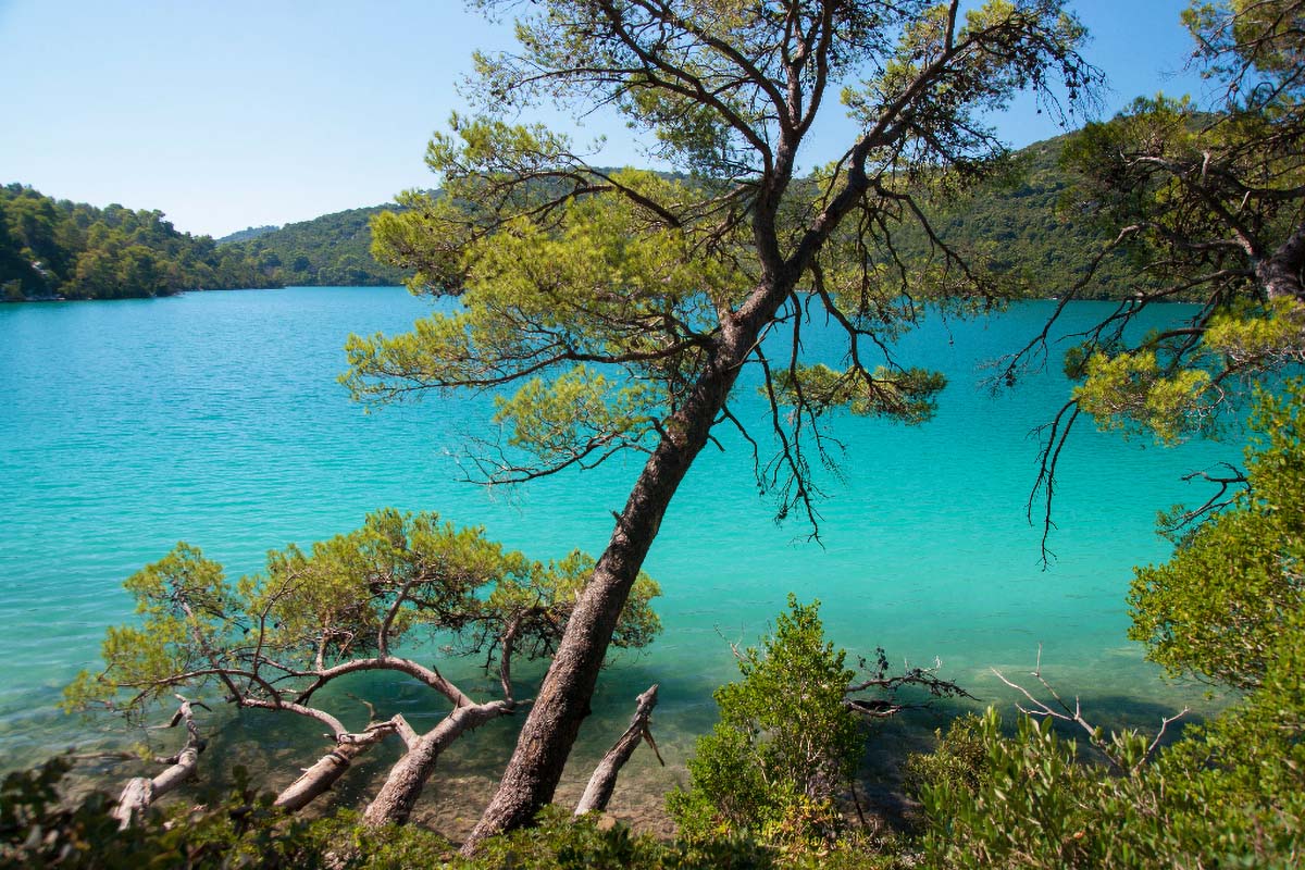 MLJET1191 14 08 13