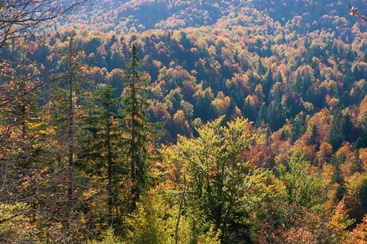 PLITVICE14 20 10 12