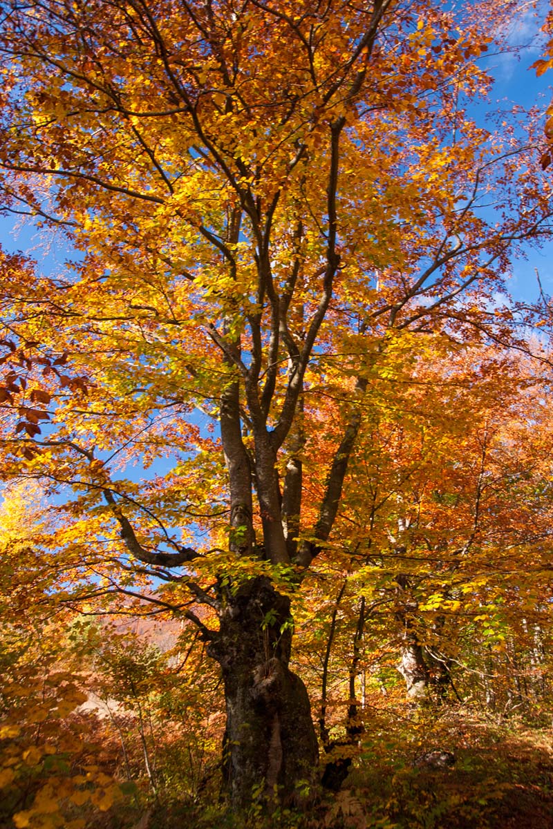 PLITVICE28 19 10 13