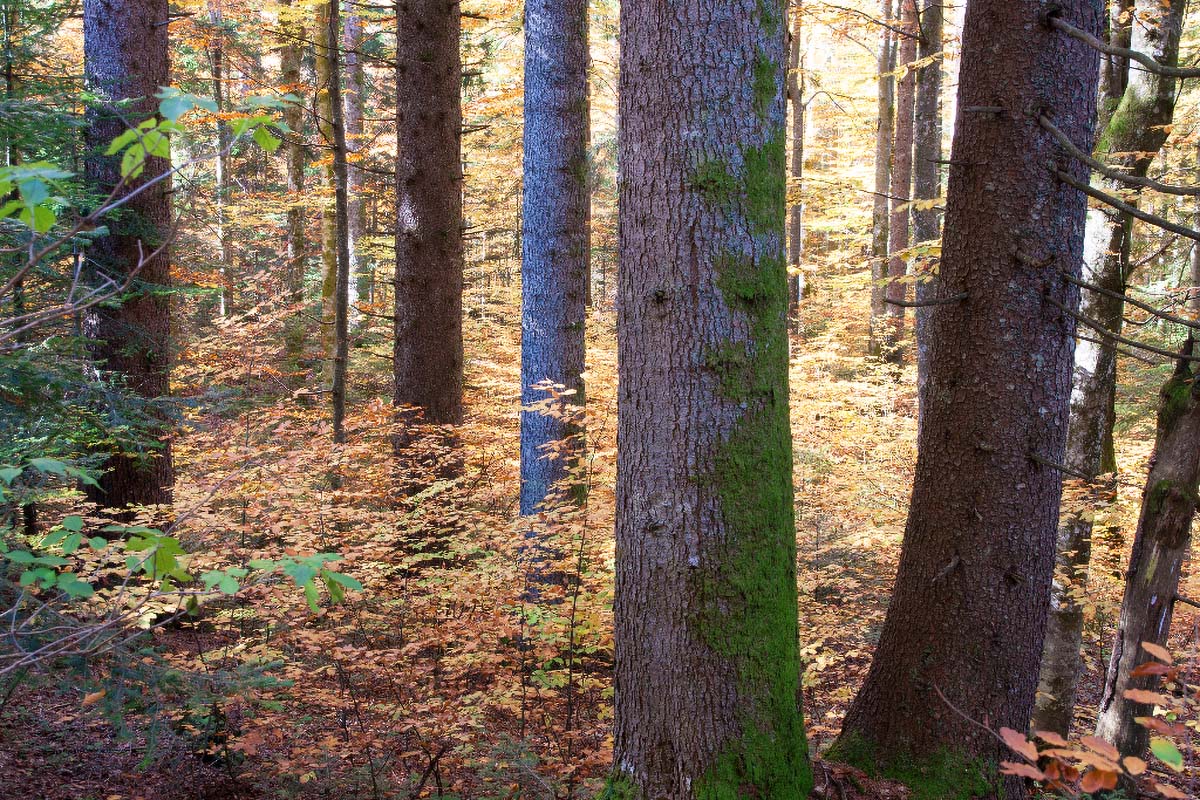PLITVICE57 20 10 12