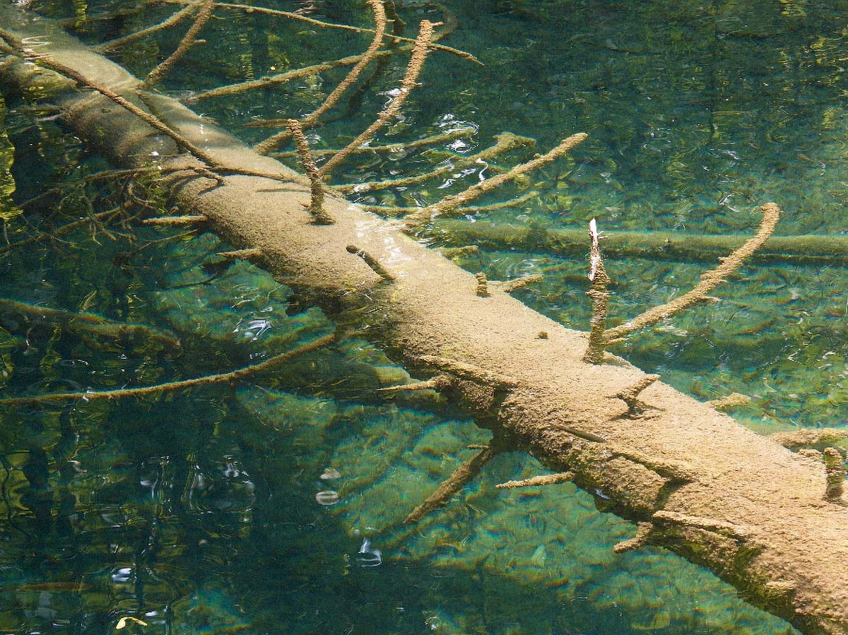 PLITVICE77 24 07 06