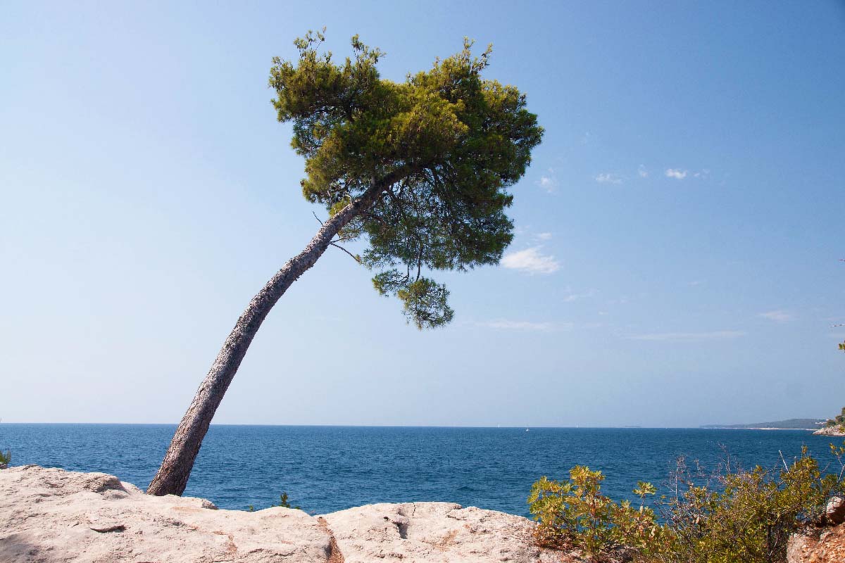 ROVINJ228 05 08 12