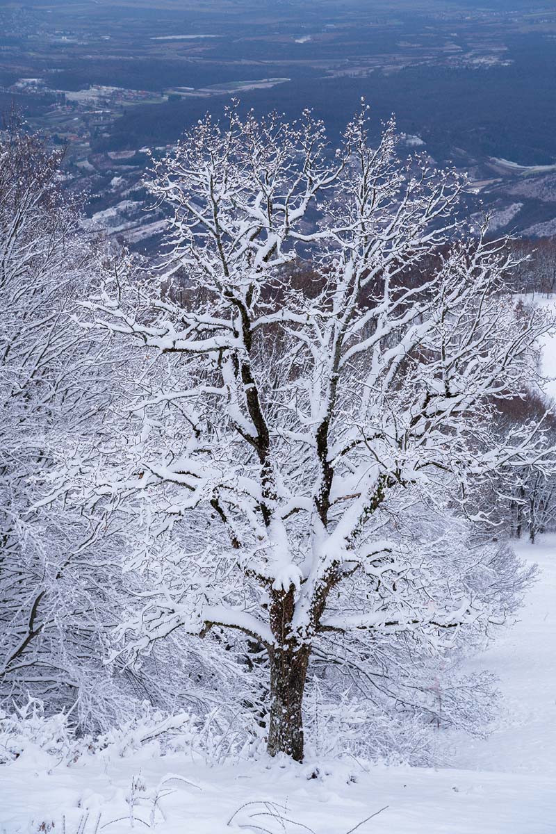 SAMOBORSKO GORJE106 18 01 19