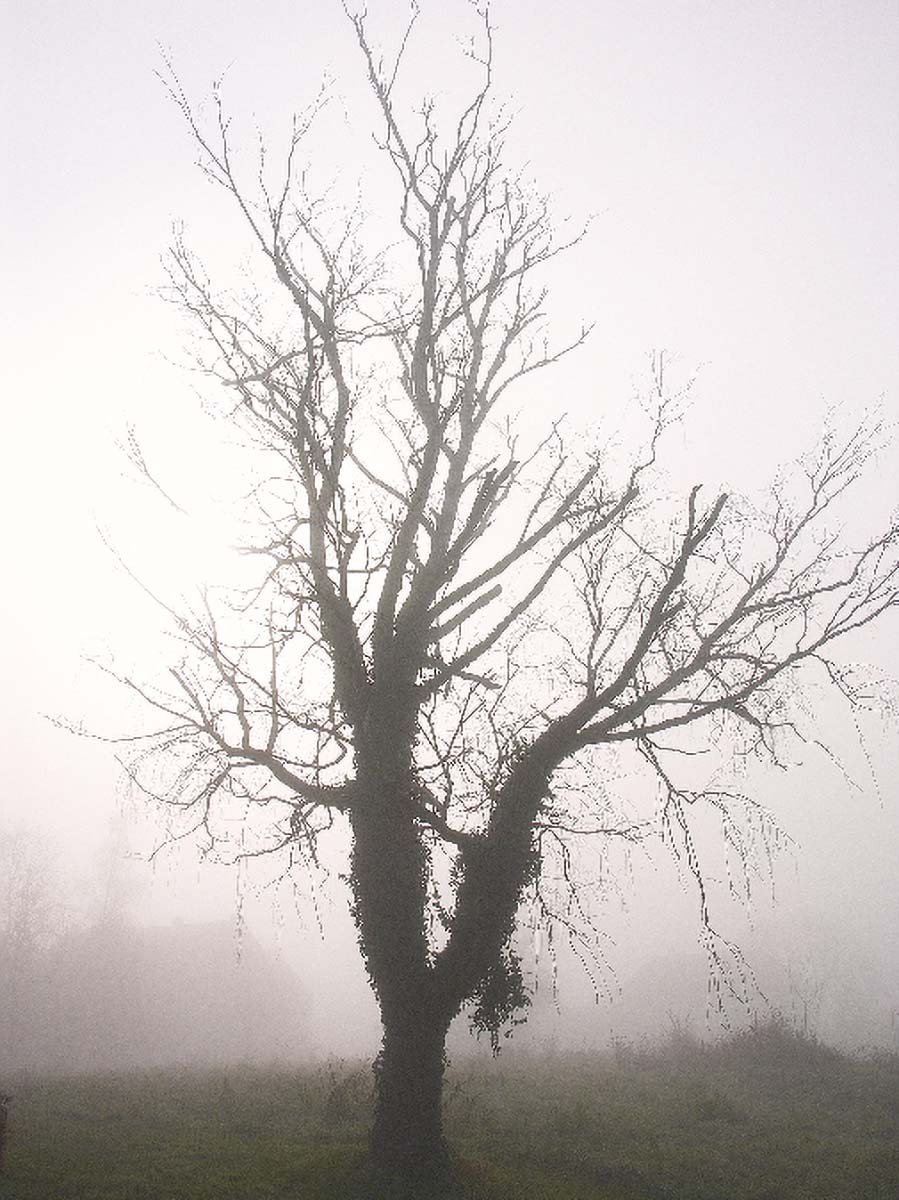 STABLO2 18. 11 2005
