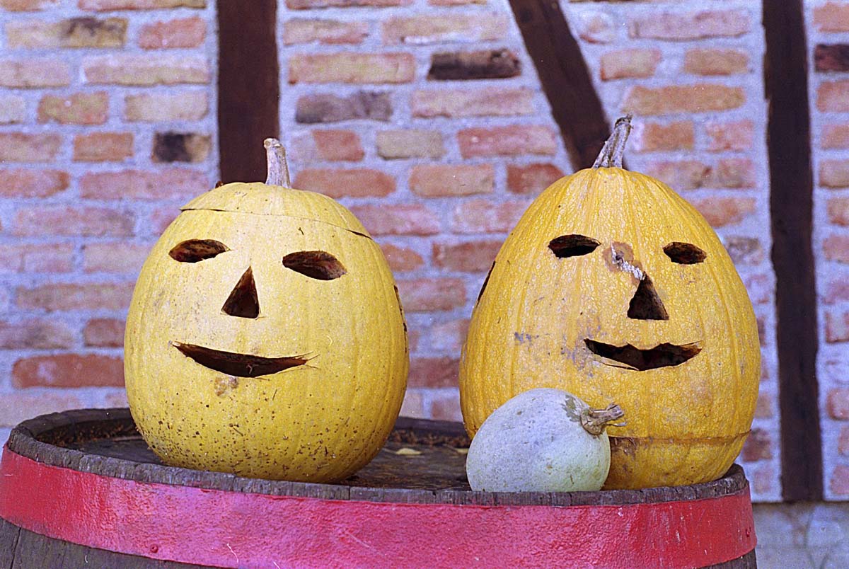 HALOWEEN1 NEG