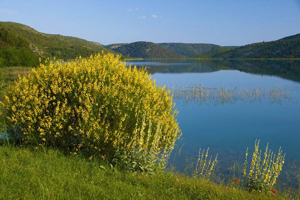 KRKA   VISOVAC21 14 05 10