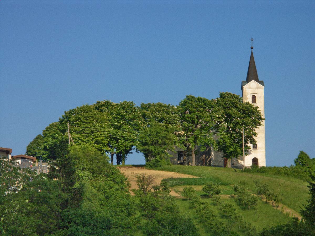 PLESIVICA 11 05 08