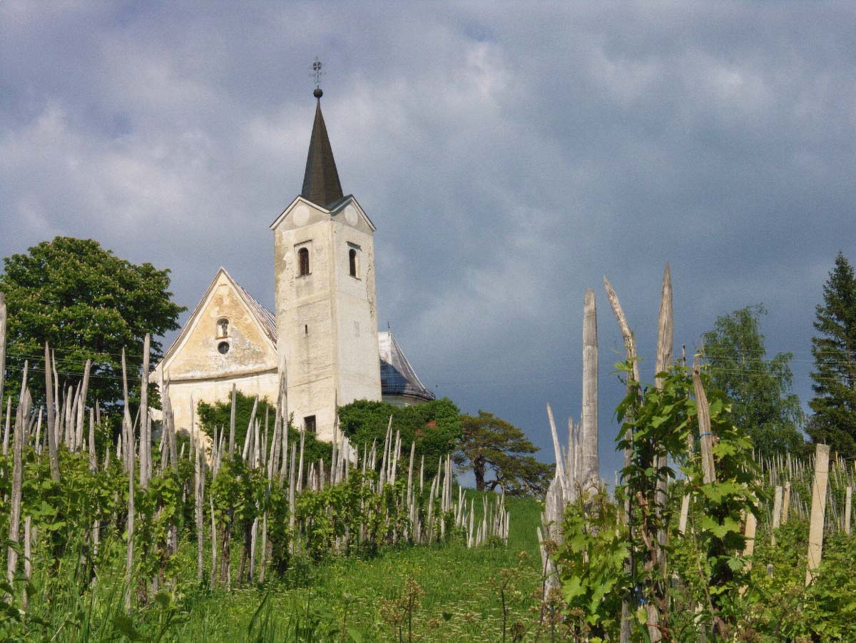 PLESIVICKI VINOGRAD06 11 05 08