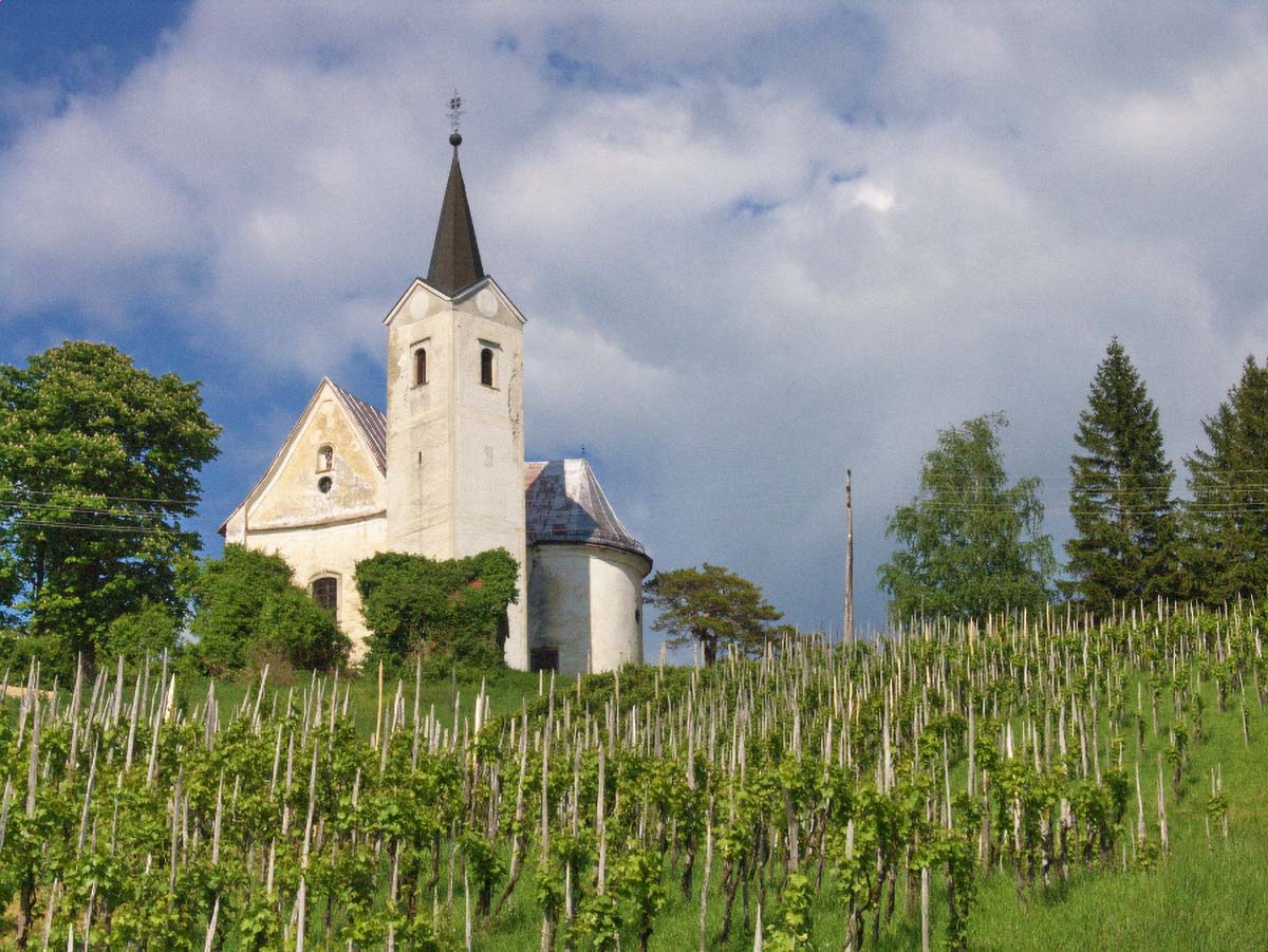 PLESIVICKI VINOGRAD08 11 05 08