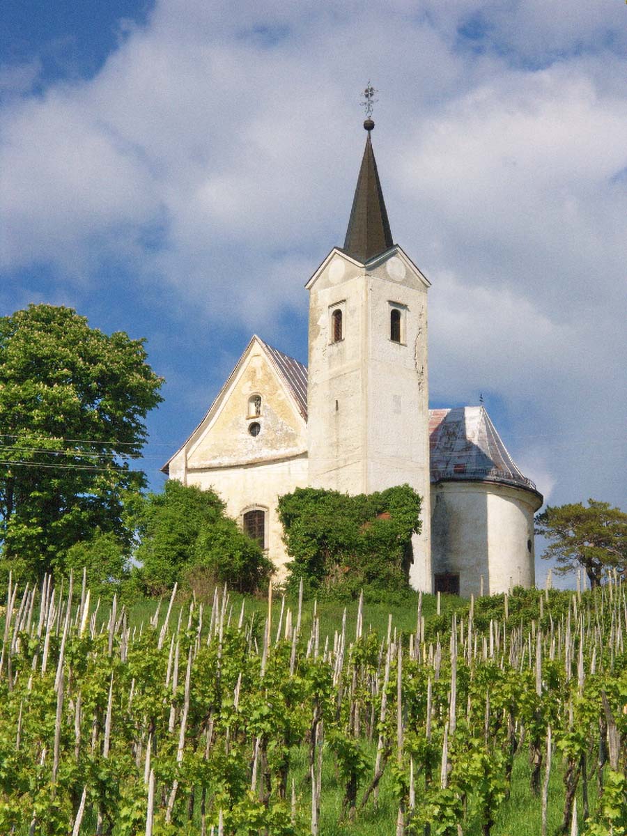 PLESIVICKI VINOGRAD09 11 05 08