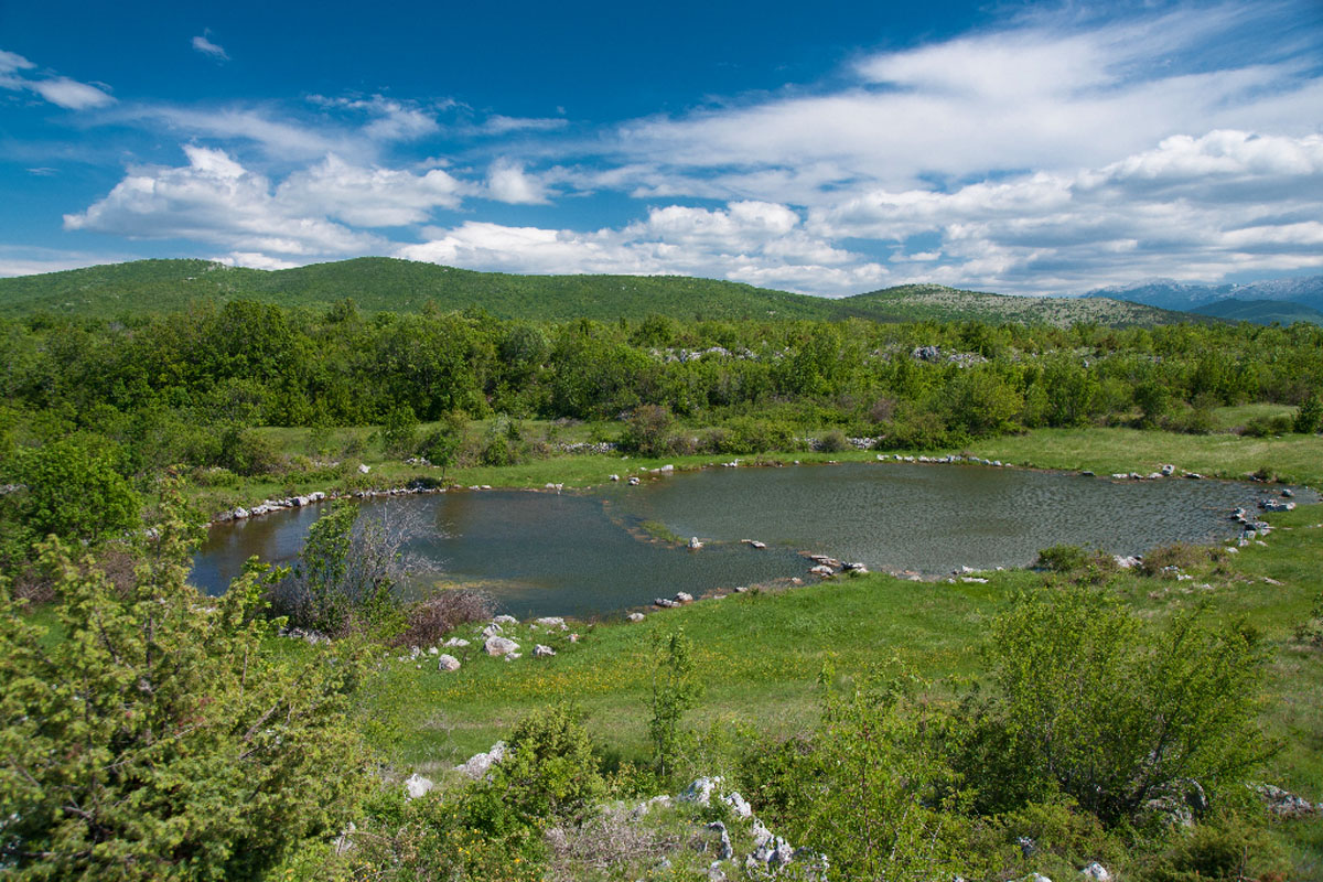 BARNJAK04 17 05 12