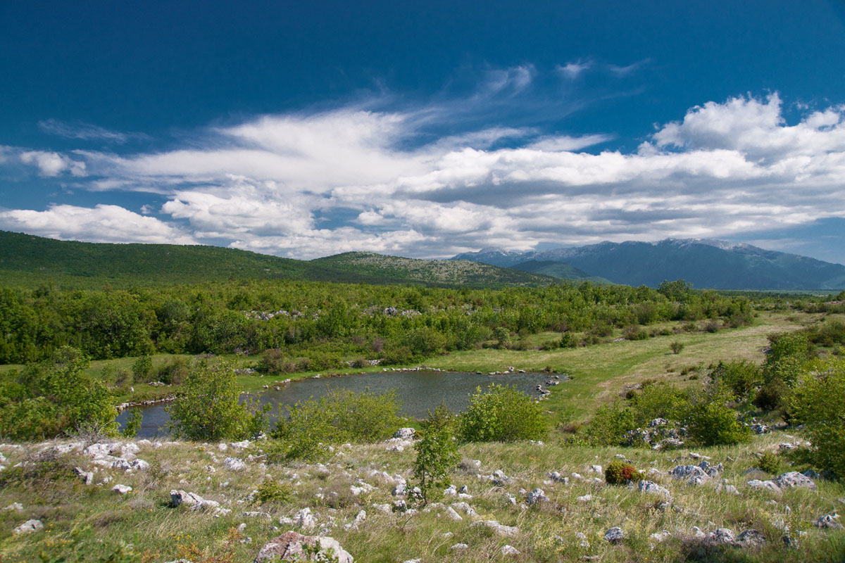 BARNJAK31 17 05 12