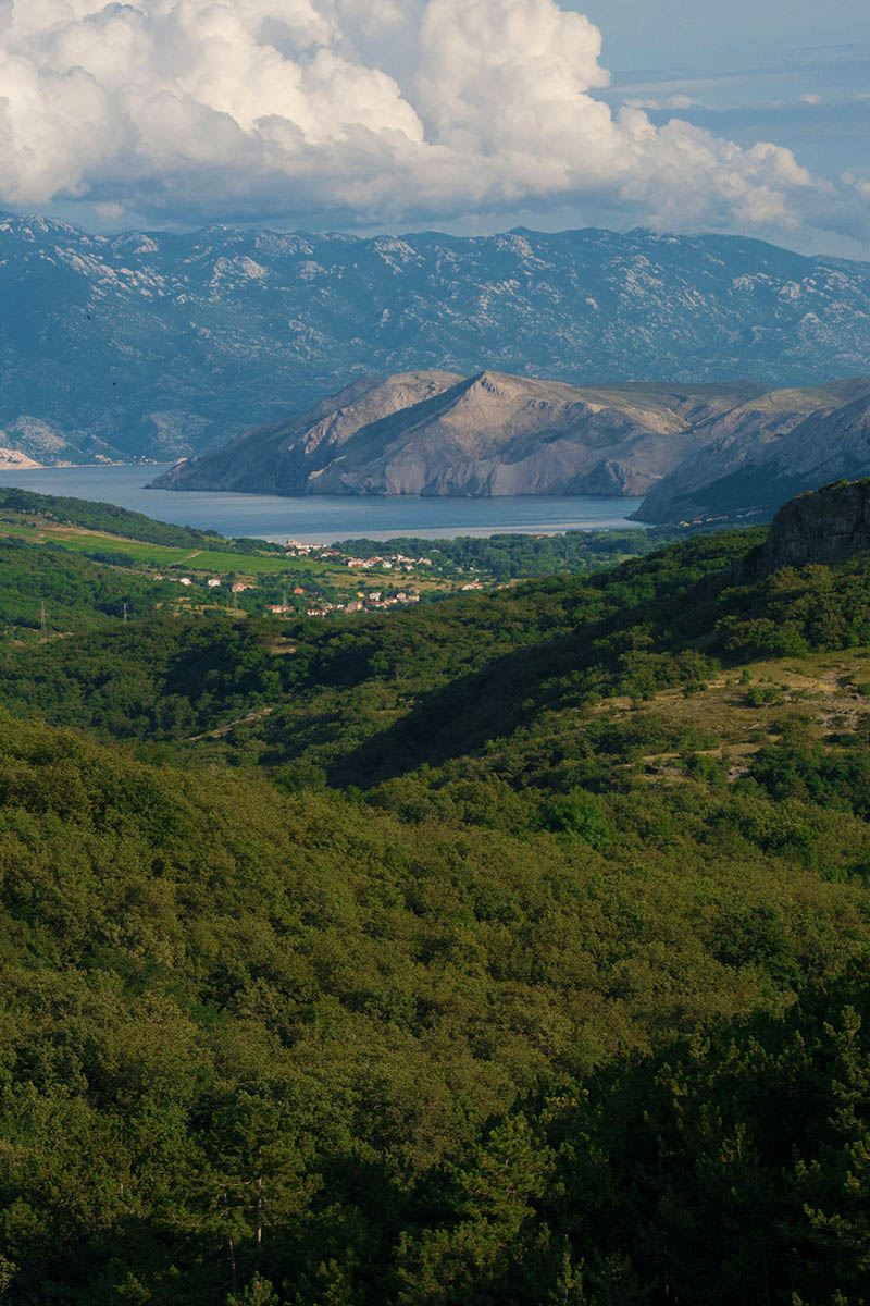 BASKA27 24 08 14