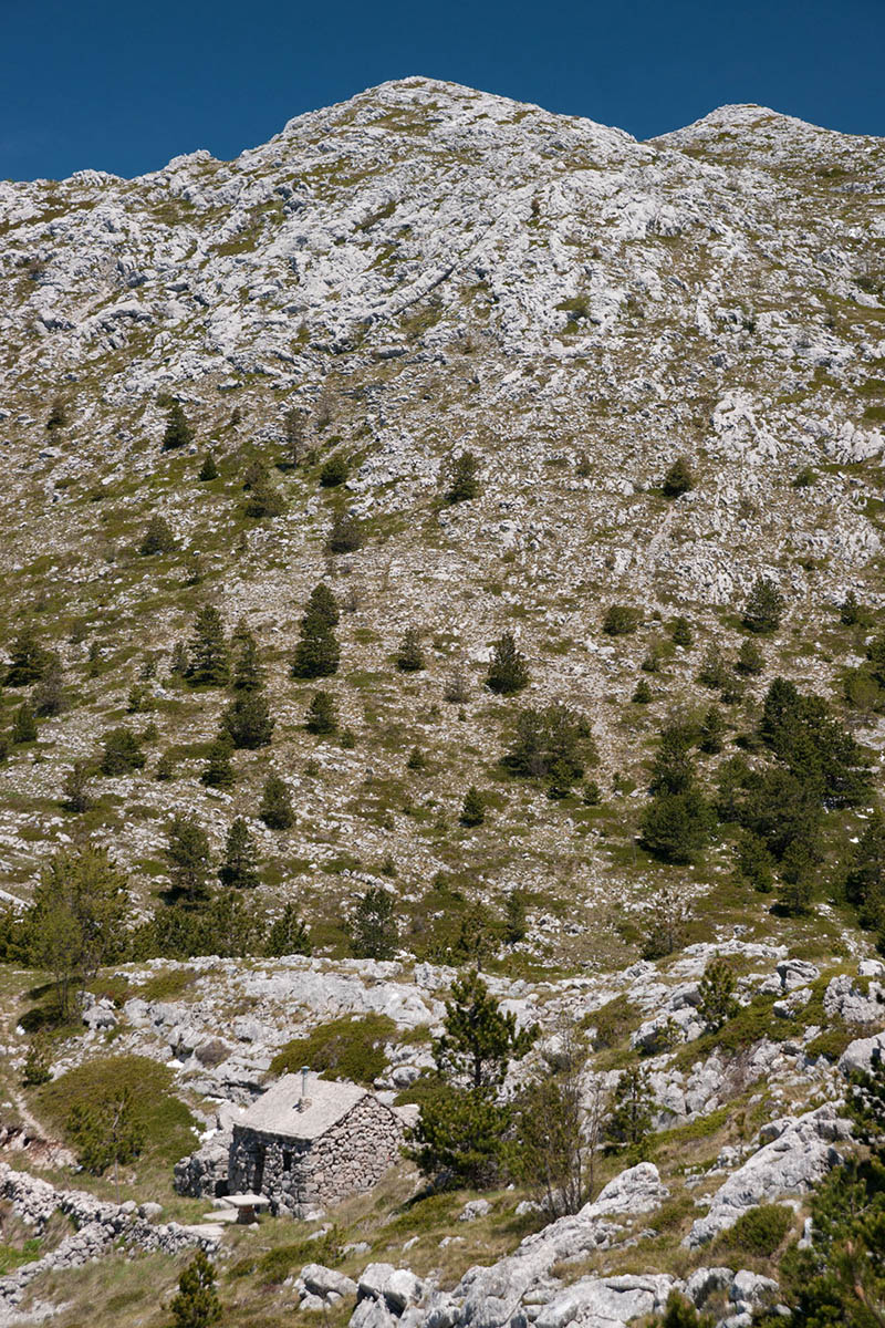 BIOKOVO119 18 05 1