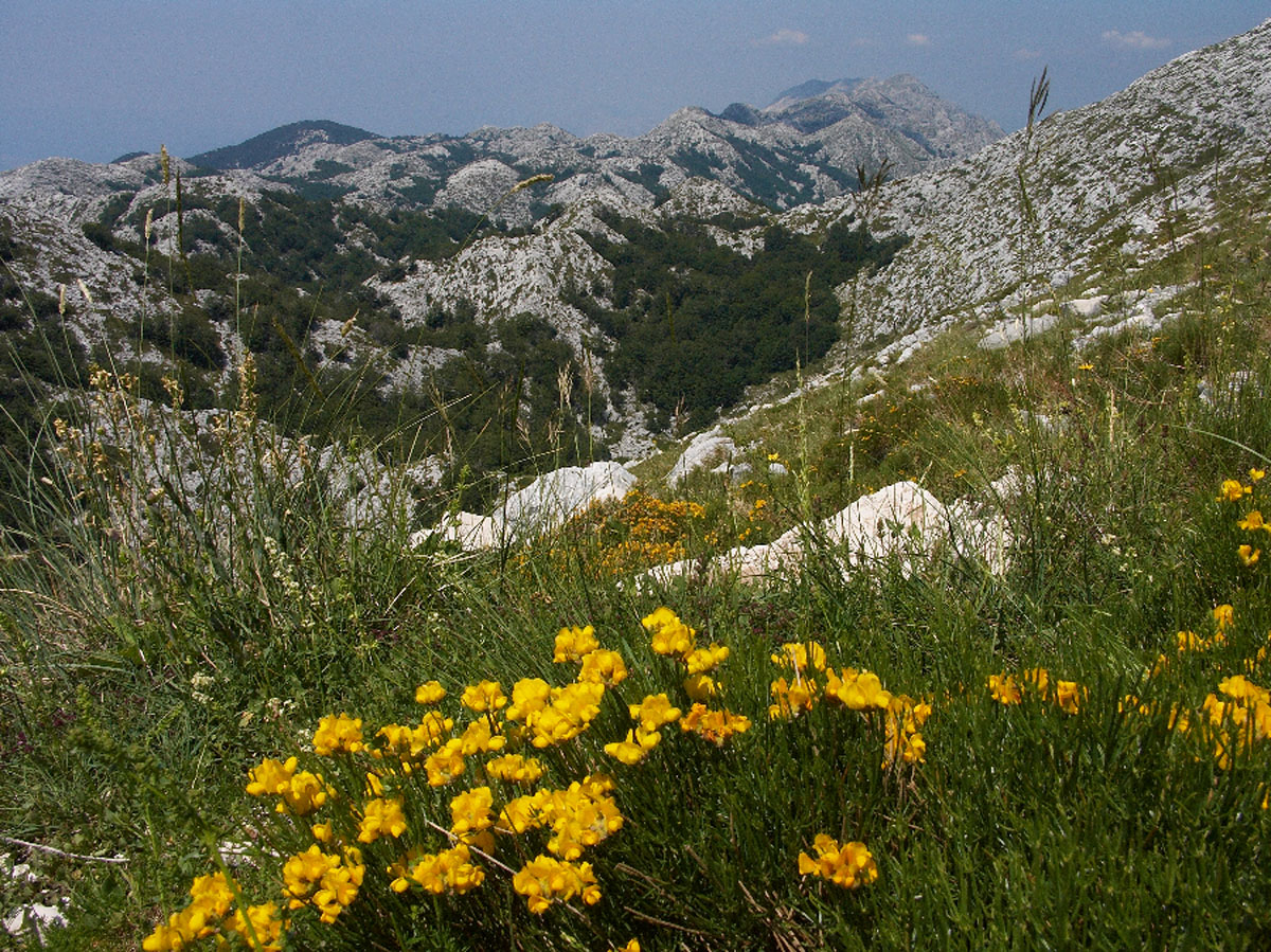 BIOKOVO62