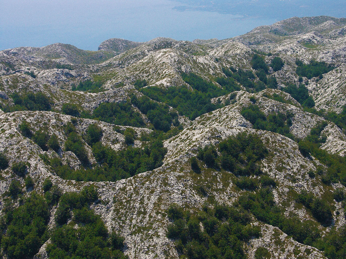 BIOKOVO89