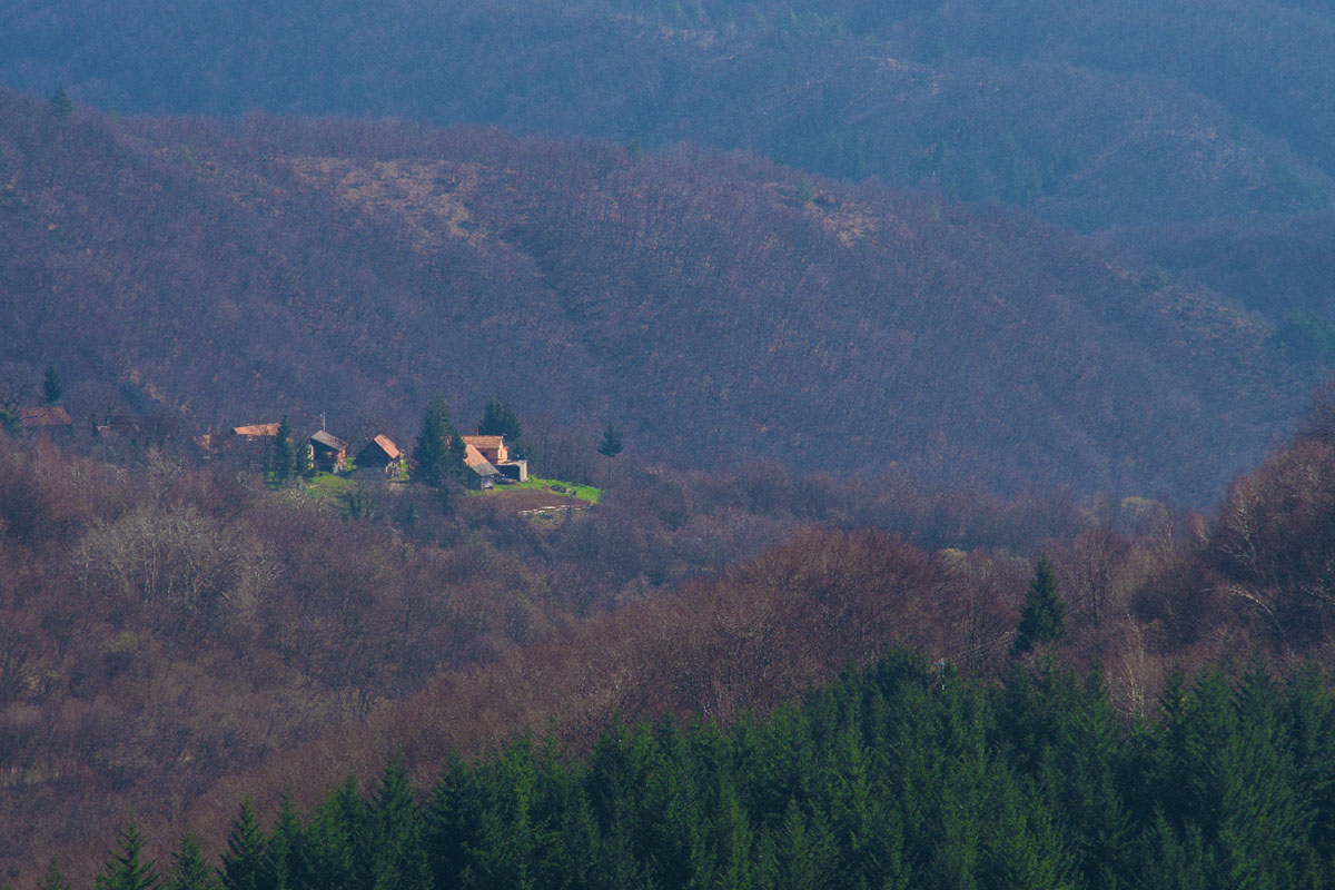 CERNIK02 29 03 15