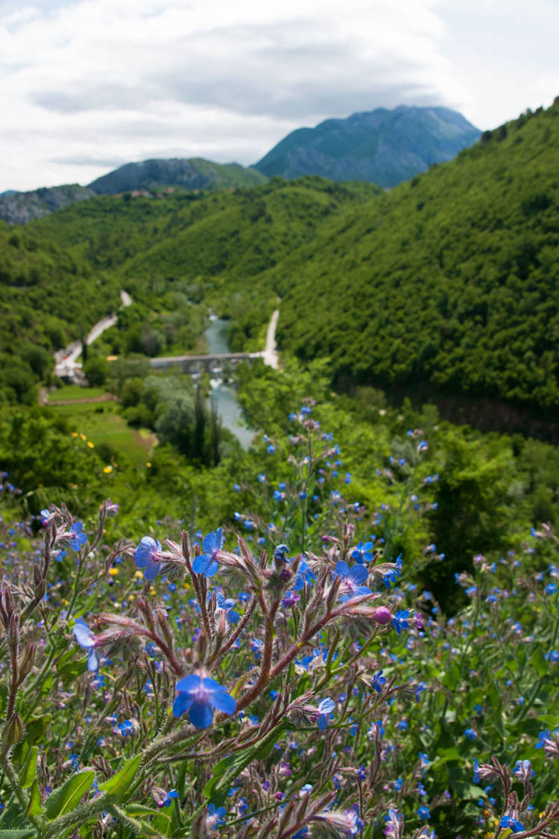 CETINA08 15 05 12