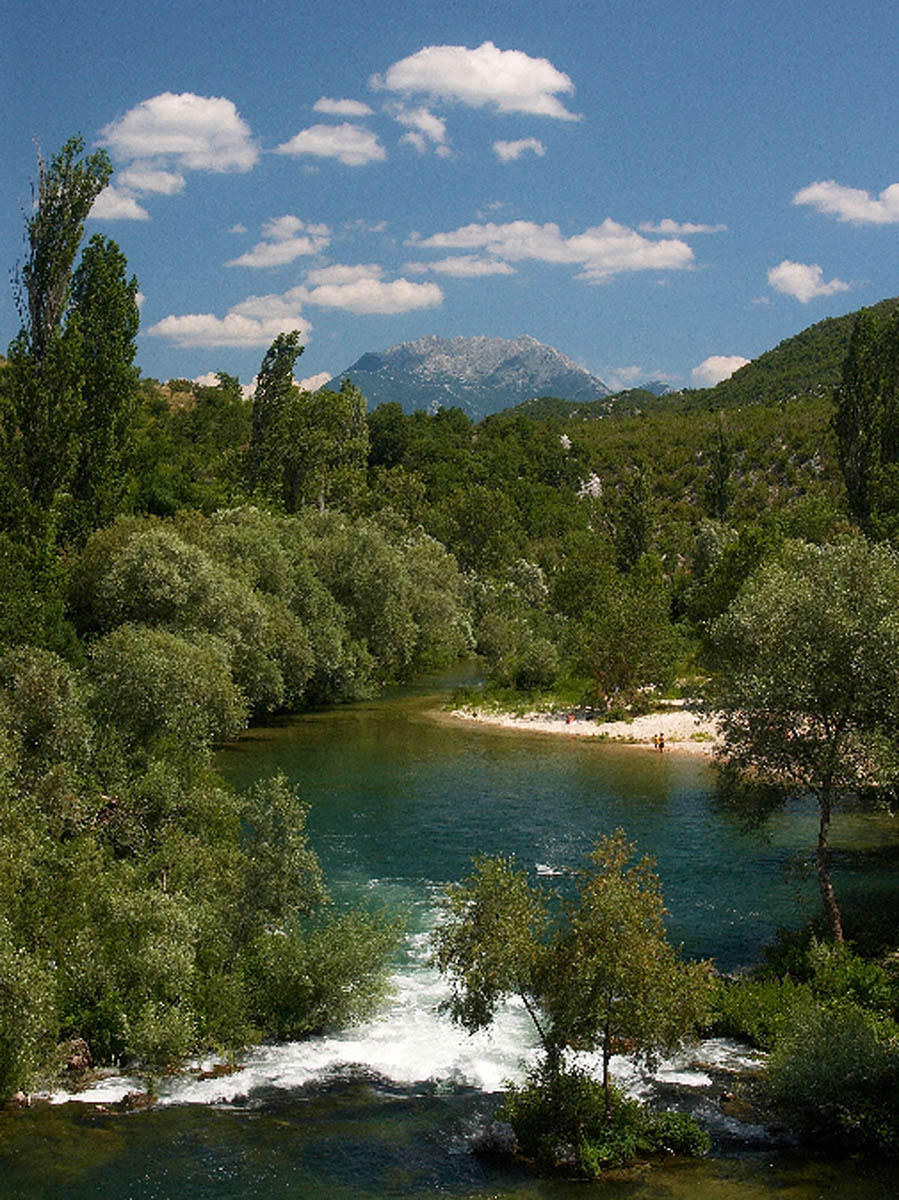 CETINA105