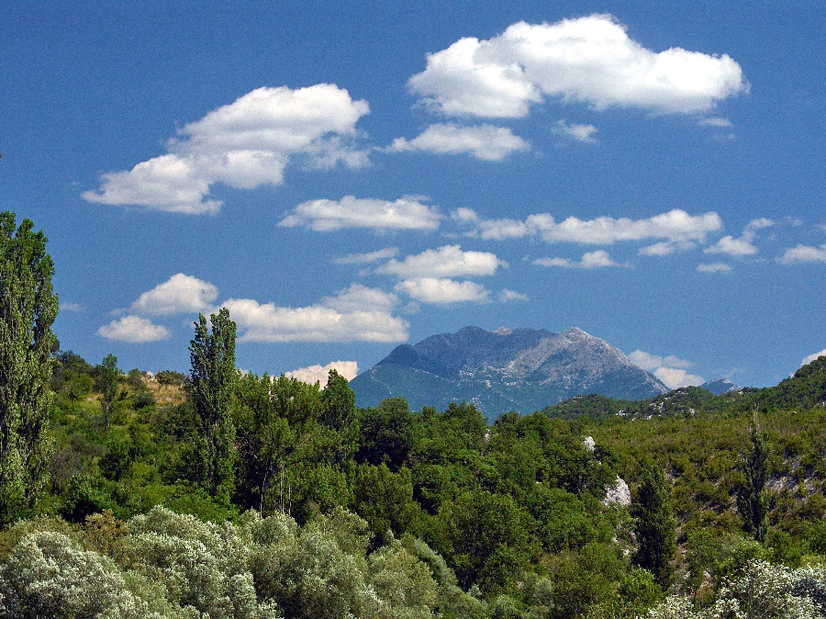 CETINA109