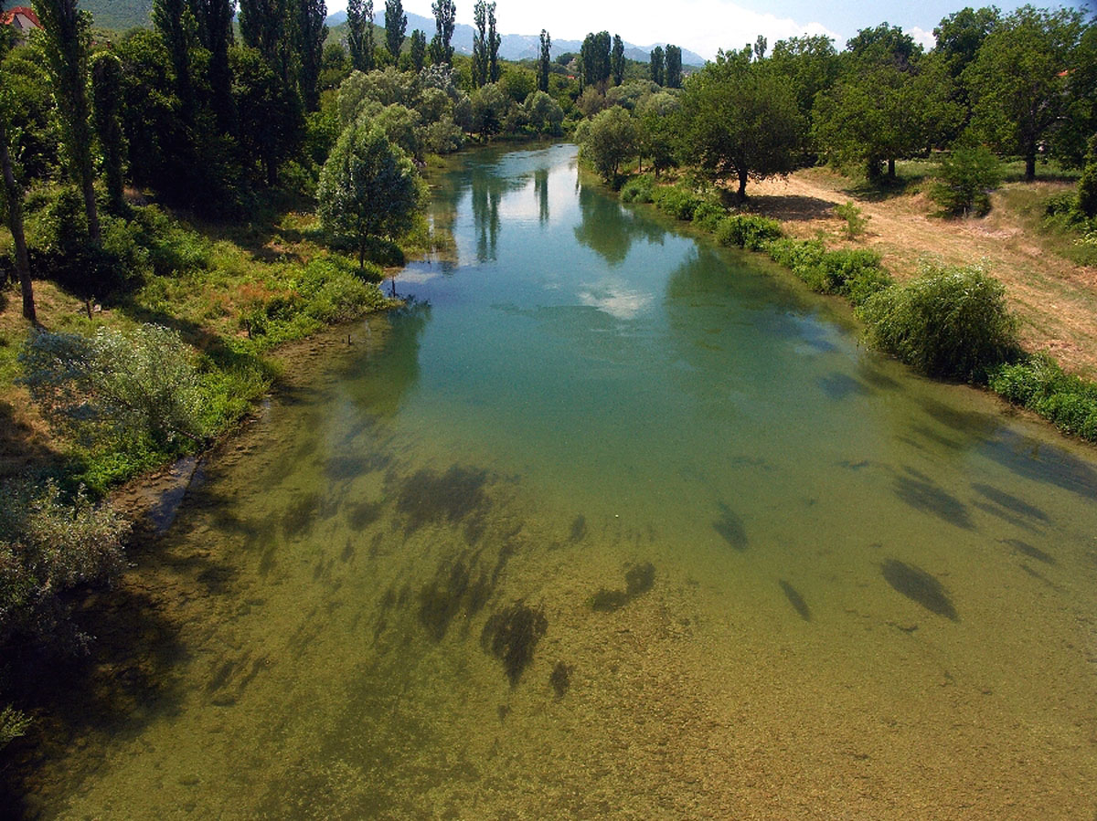 CETINA110
