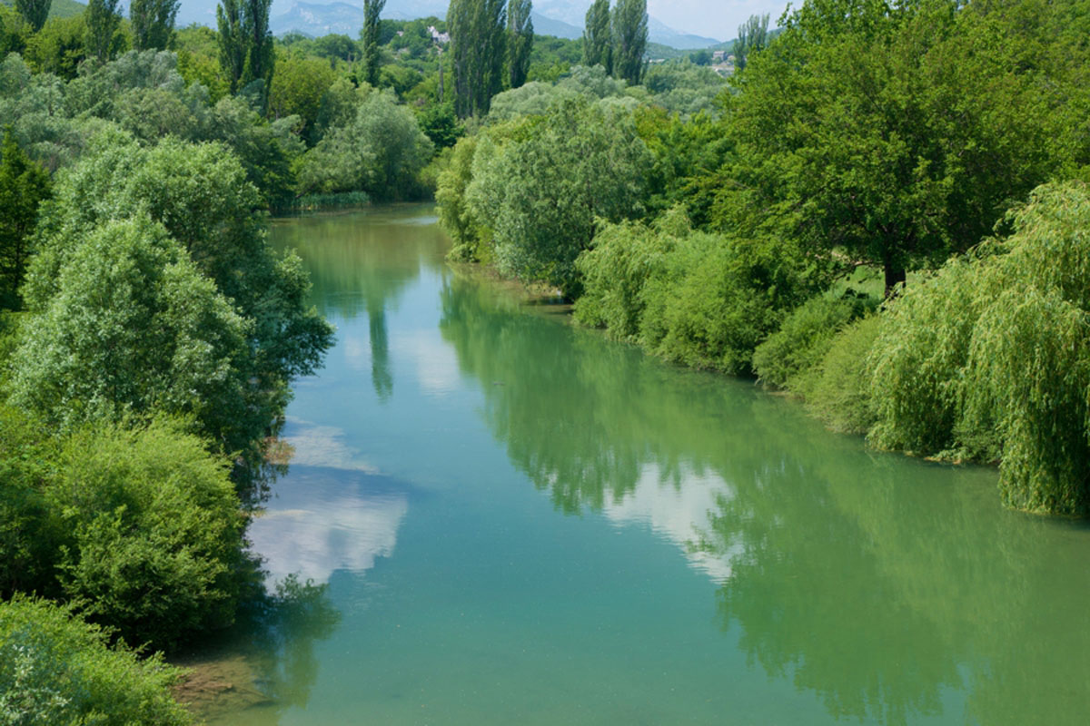CETINA261 19 05 11