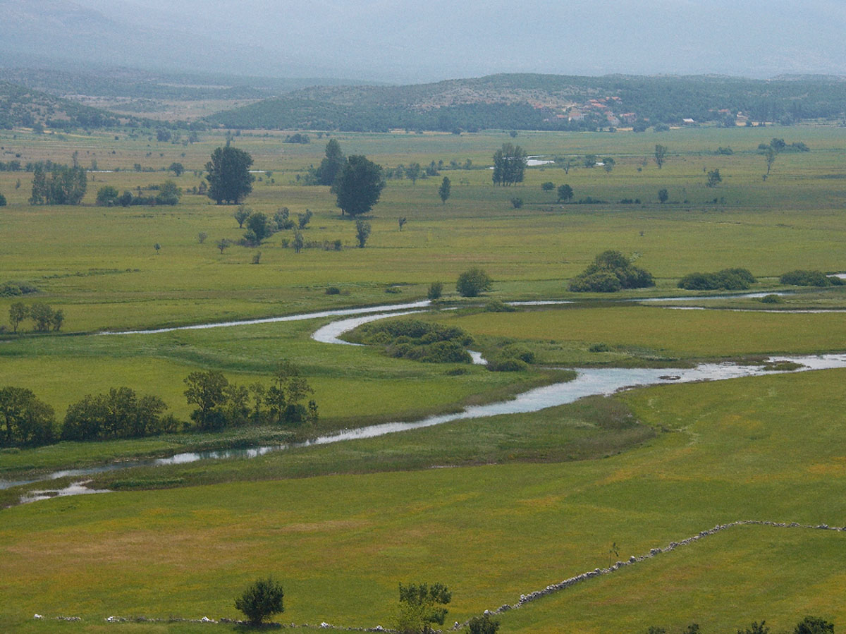 CETINA3