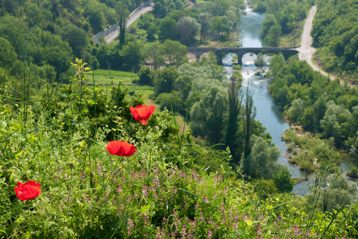 CETINA92 19 05 11
