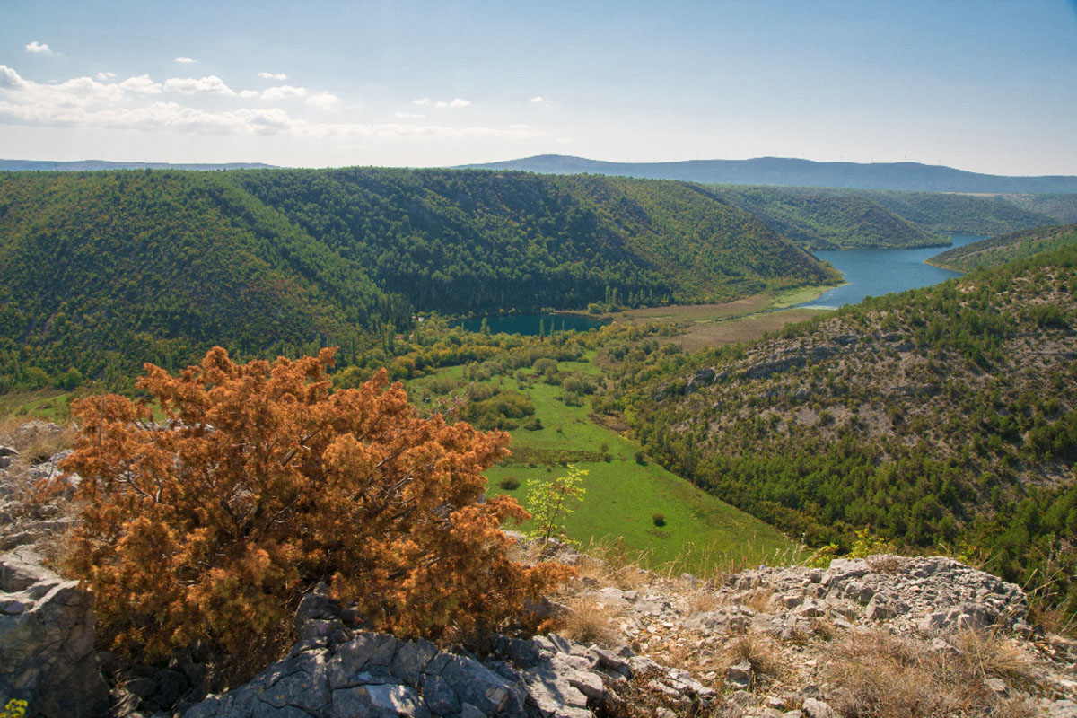 CIKOLA04 28 09 17