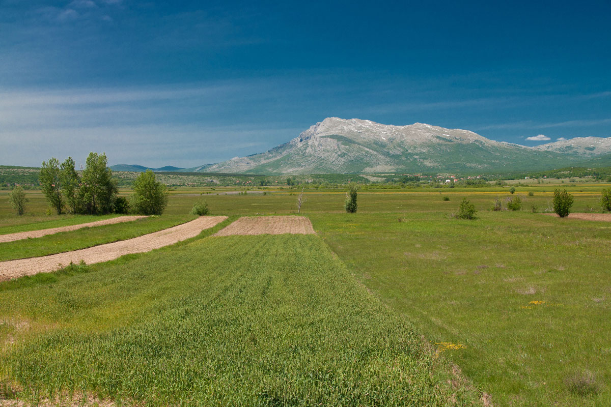 DINARA03 20 05 12