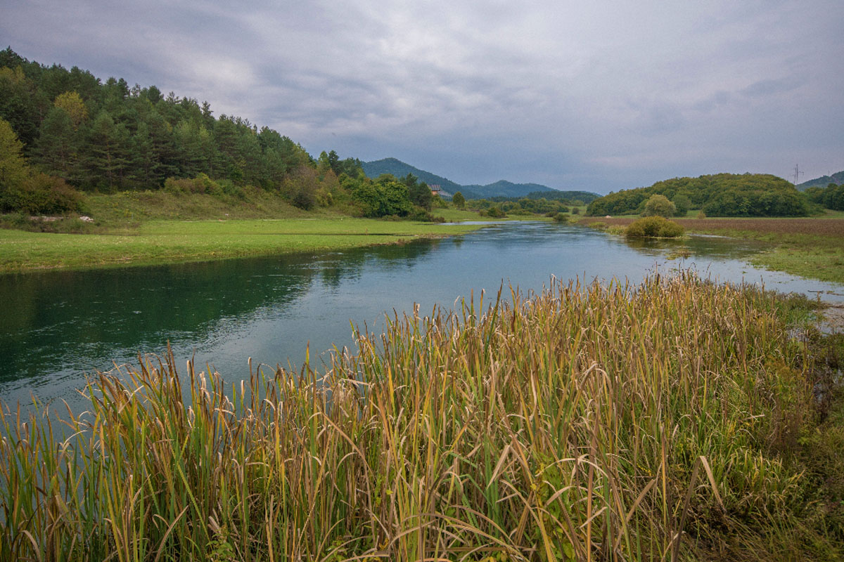 GACKA098 24 09 17