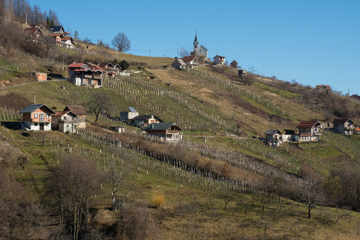 GULISI02 06 02 16