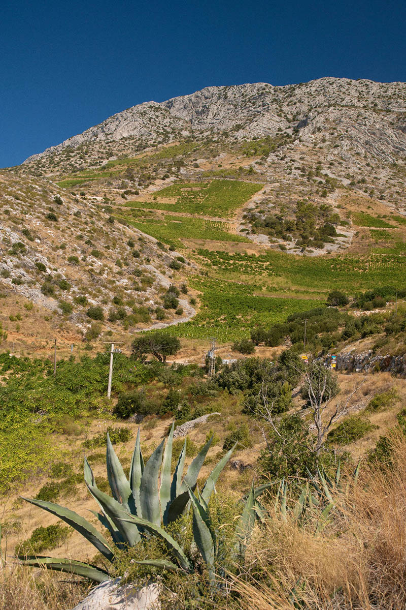 HVAR0131 07 08 15