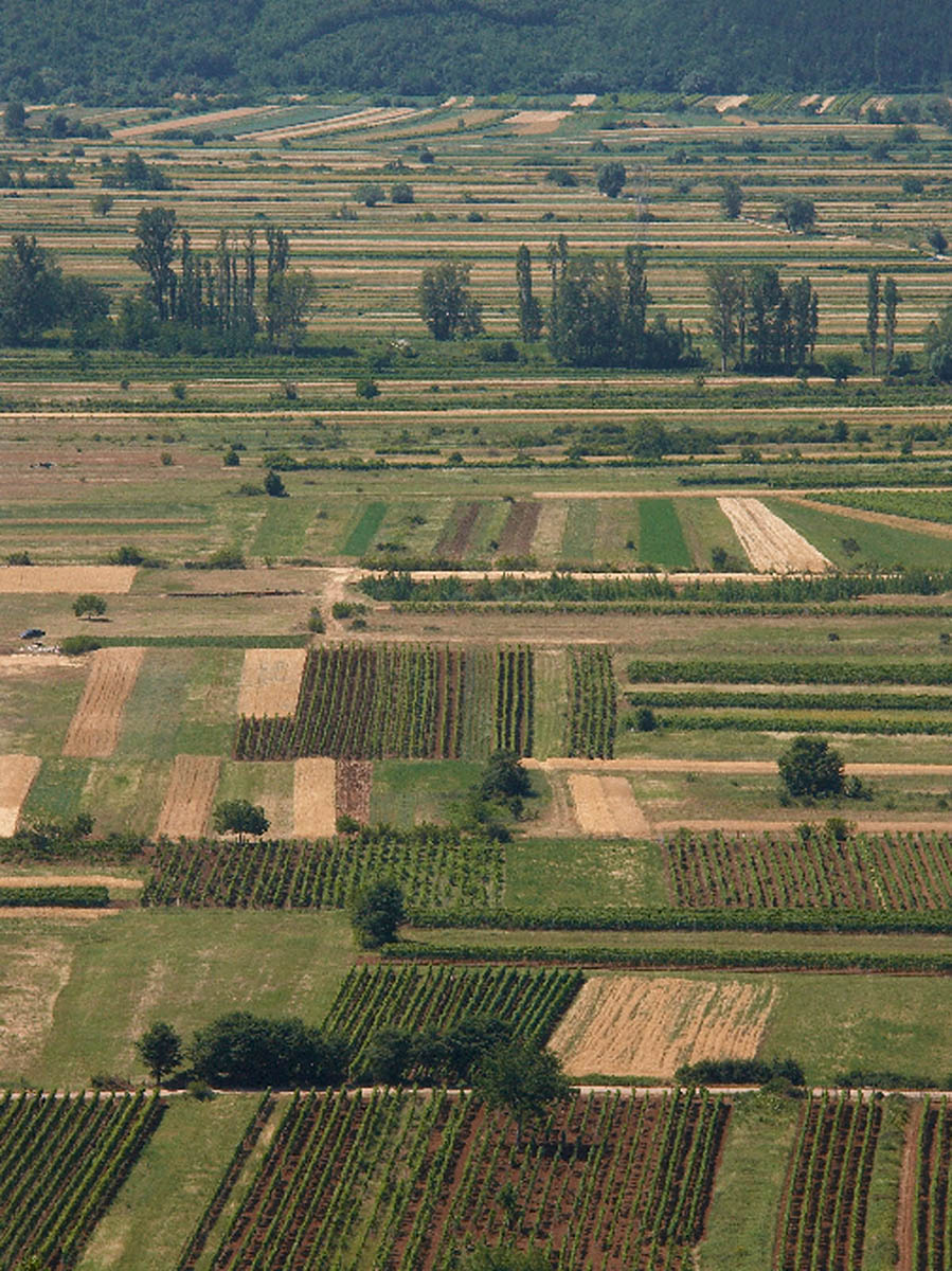 IMOTSKO POLJE14