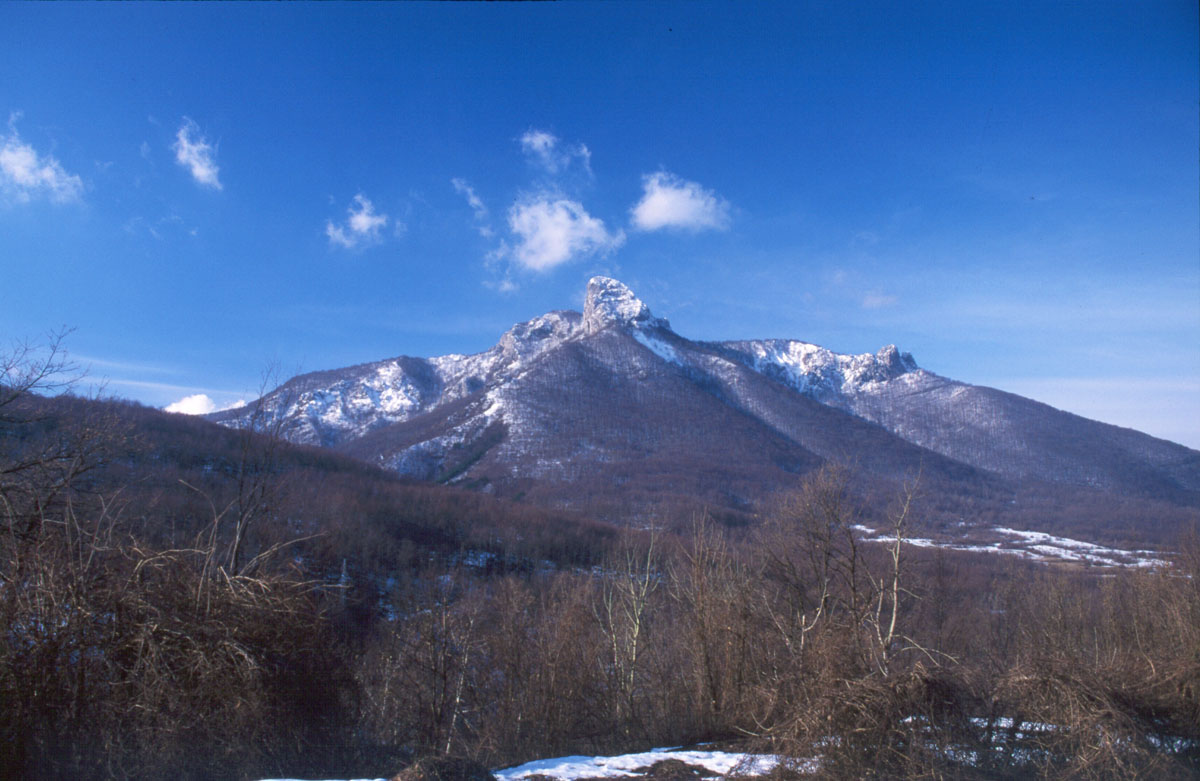 KLEK K21E14