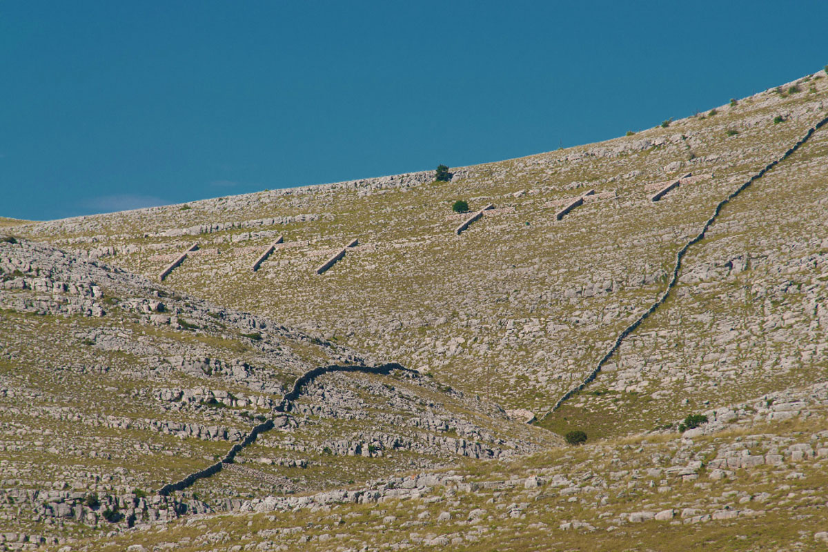 KORNATI342 07 06 13