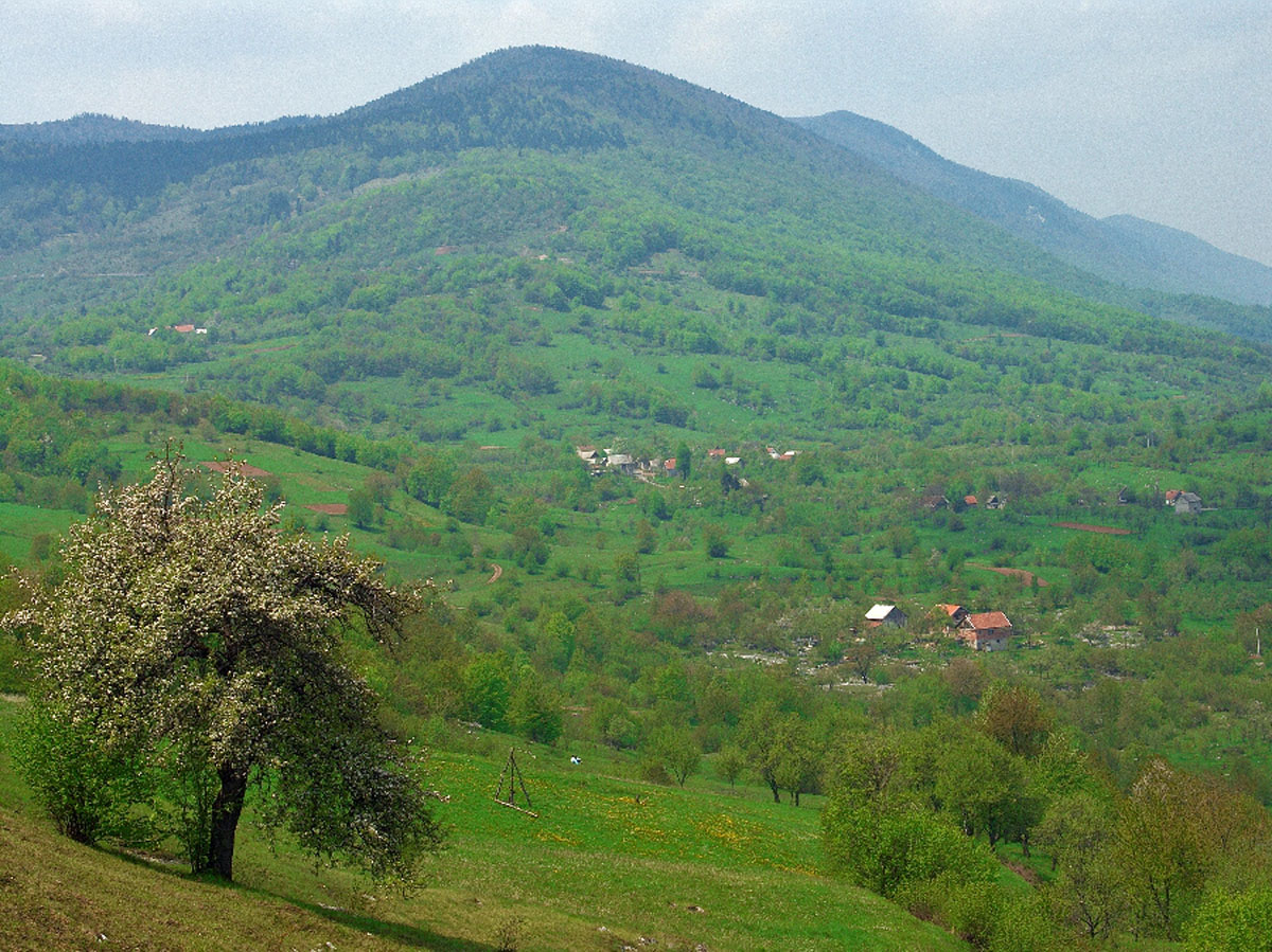 KUTEREVO54 06 05 06