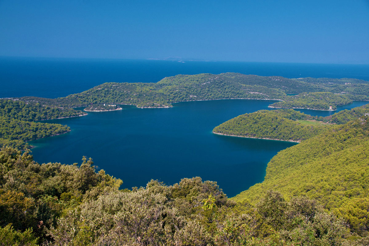 MLJET0560 12 08 13