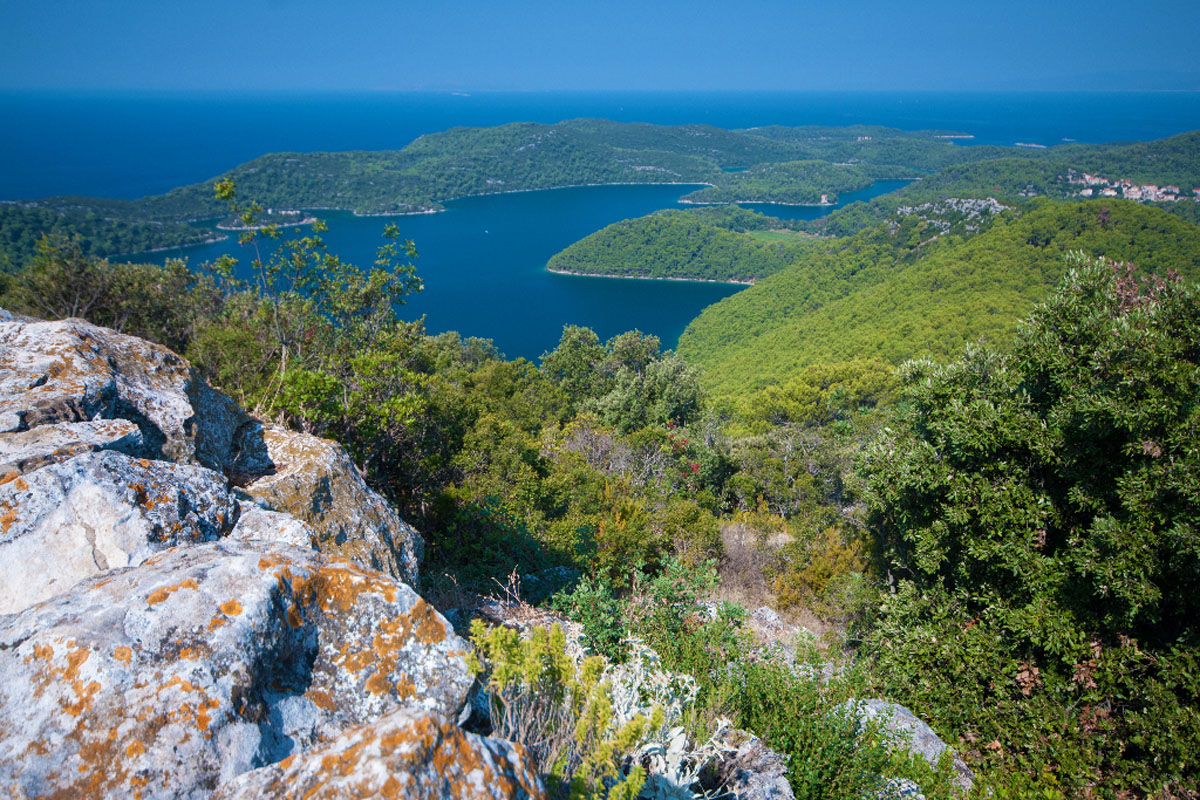 MLJET0605 12 08 13
