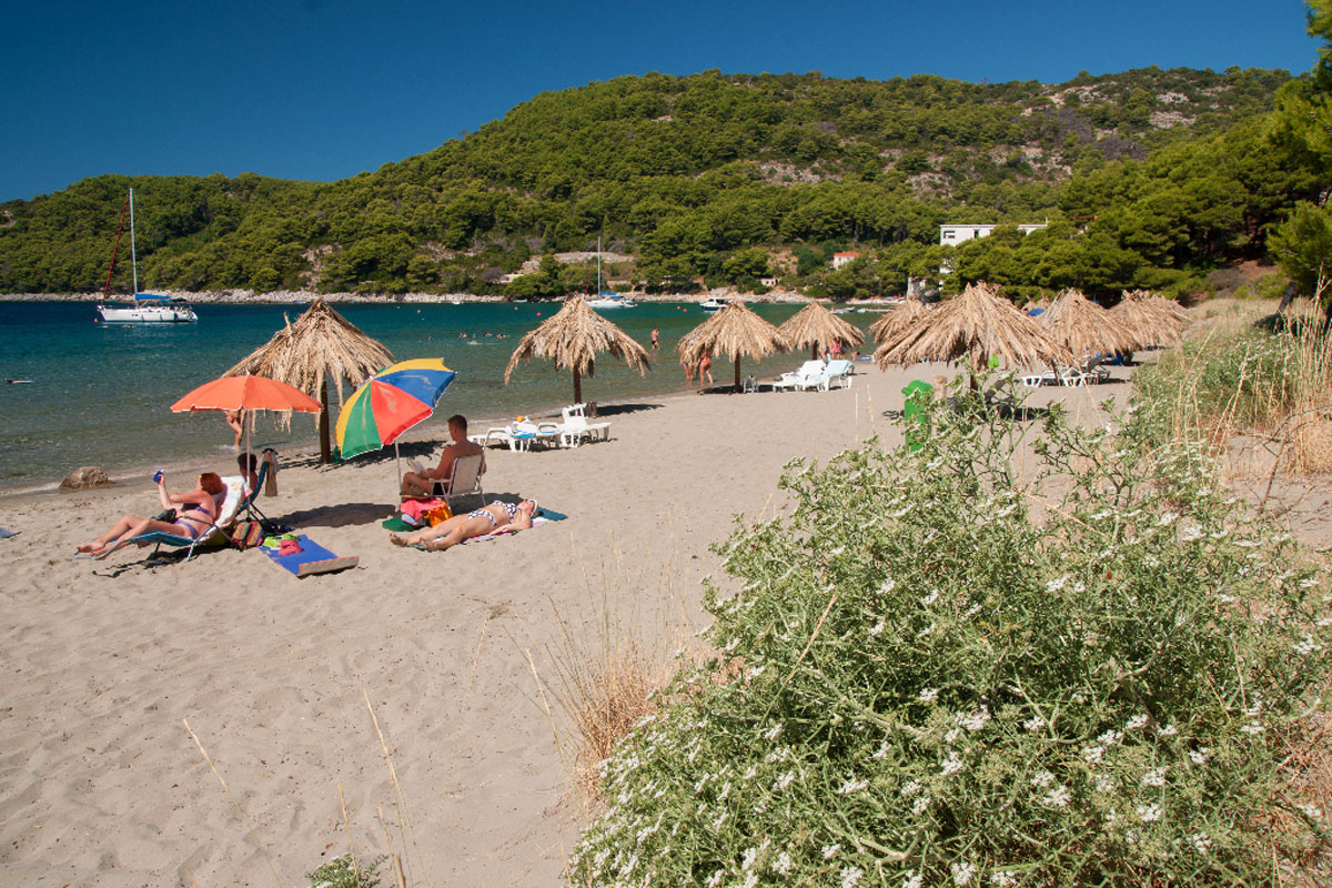 MLJET0964 13 08 13
